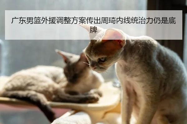 广东男篮外援调整方案传出周琦内线统治力仍是底牌